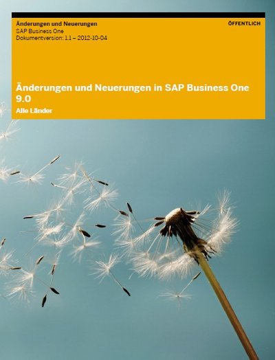 Ausblick auf SAP Business One 9.0