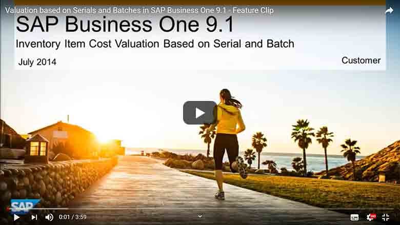 Bewertung auf Basis von Serien und Chargen in SAP Business One 9.1