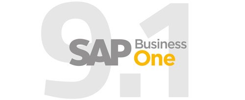 SAP Version 9.1 - die Neuerungen