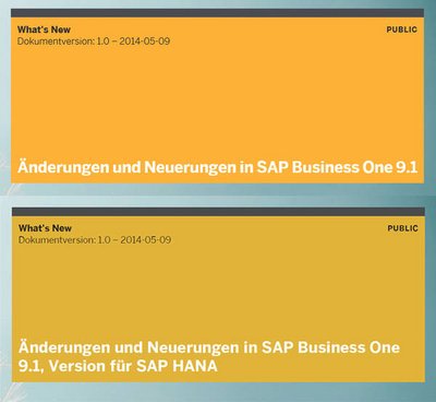 Neues in SAP Business One 9.1