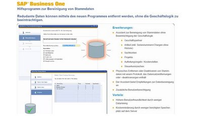 Bereinigung Stammdaten SAP Business One