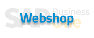 SAP B1 Lösungen für einen Webshop im B2C- als auch für den B2B-Bereich