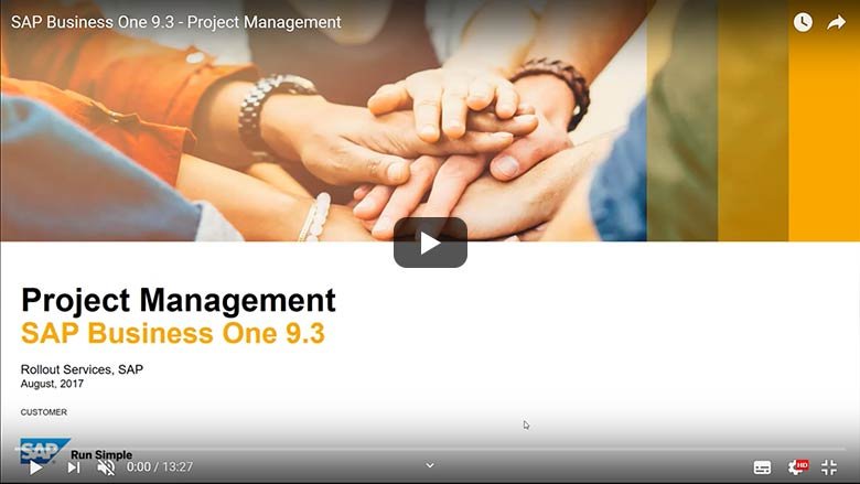 SAP Business One 9.3 - Project Management